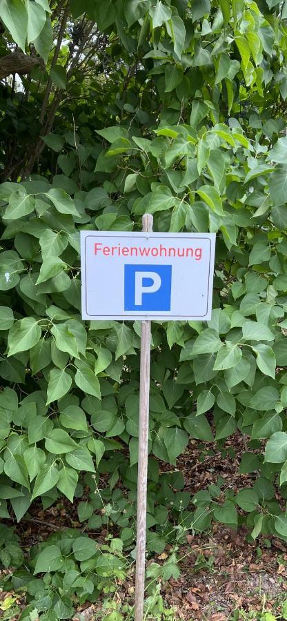Eichhoernchen Suhl